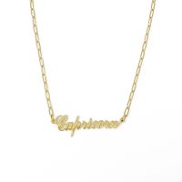 Annie Zodiac Chain Necklace (Material: Capricorn)